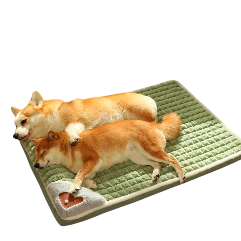 Pawfect Luxury Orthopedic Rabbit Velvet Pet Bed