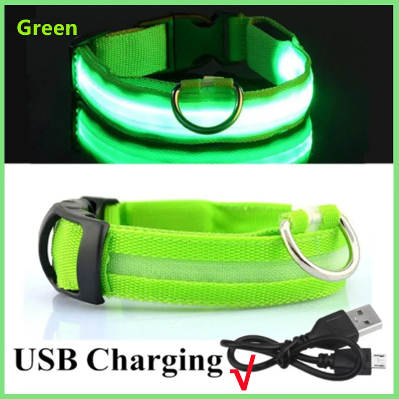 Pawfect Luminous Collar - USB Rechargeable