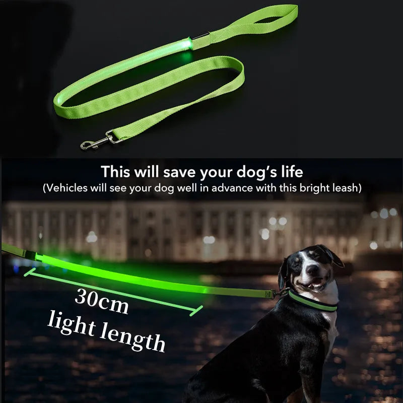 Pawfect LumiLeash - USB Rechargeable LED Dog Leash