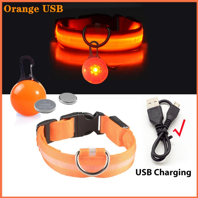 Pawfect Luminous Dog Collar & Detachable Pendant Set