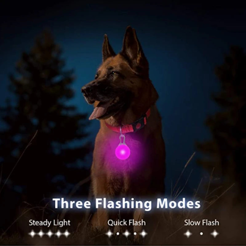 Pawfect Luminous Dog Collar & Detachable Pendant Set