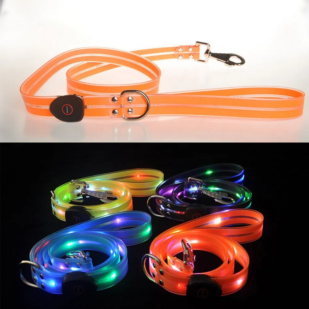 Pawfect Glow-In-The-Dark Leash