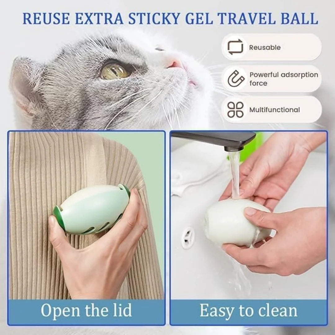 Pawfect Sticky Lint Roller – Washable, Reusable & Ultra-Adorable