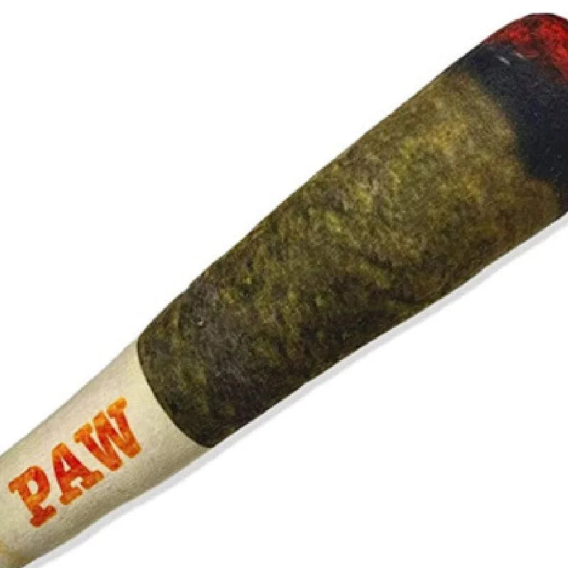 Pawfect Plush Squeaky Cigar Toy – Soft, Durable & Hilariously Fun for Small Dogs