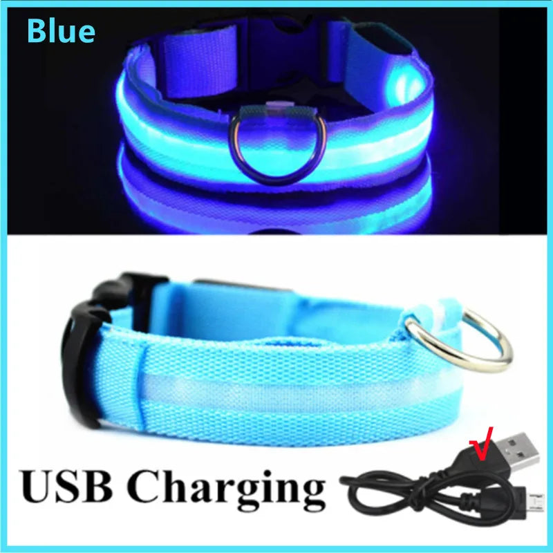 Pawfect Luminous Collar - USB Rechargeable
