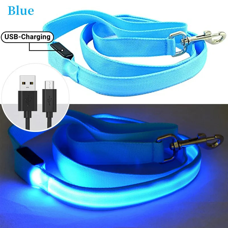 Pawfect LumiLeash - USB Rechargeable LED Dog Leash