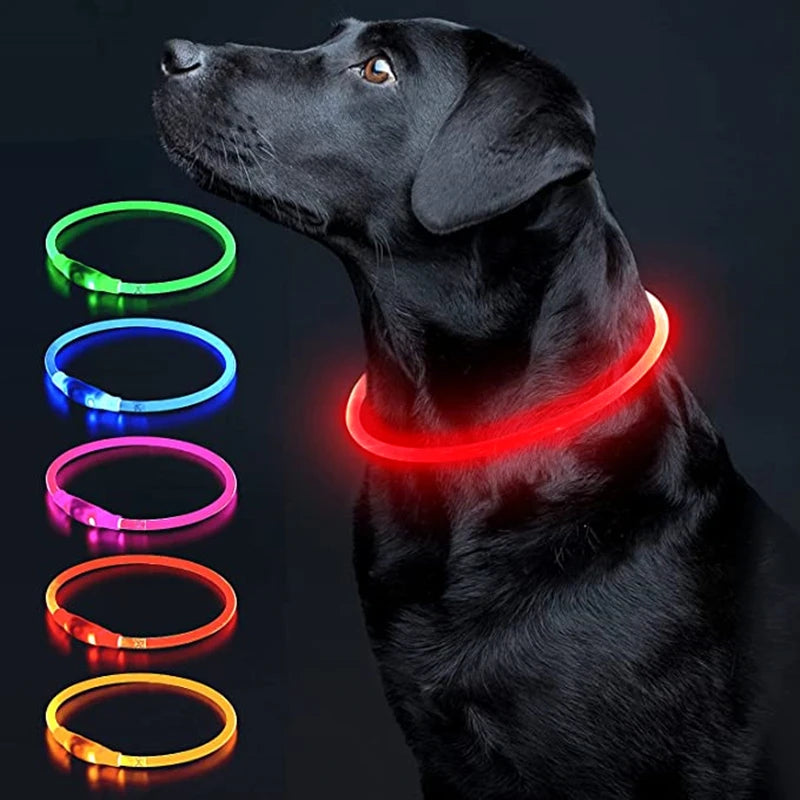 Pawfect 360 Degree LED Luminous Collar - USB Rechargeable
