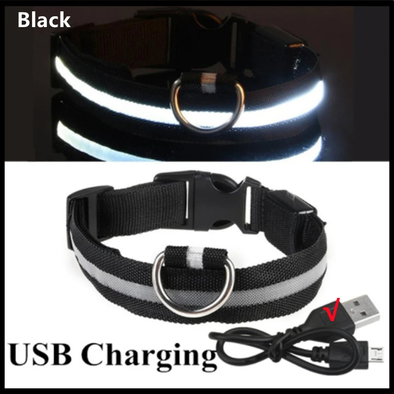 Pawfect Luminous Collar - USB Rechargeable