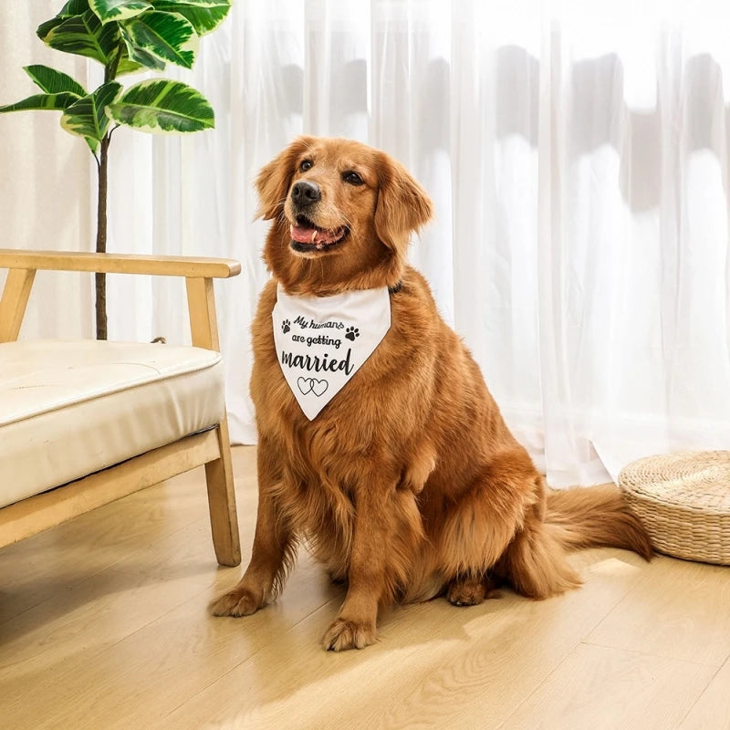 Pawfect Wedding Themed Dog Bandana