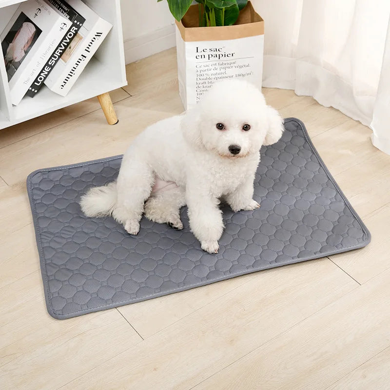 Pawfect Reusable Dog Pee Pad