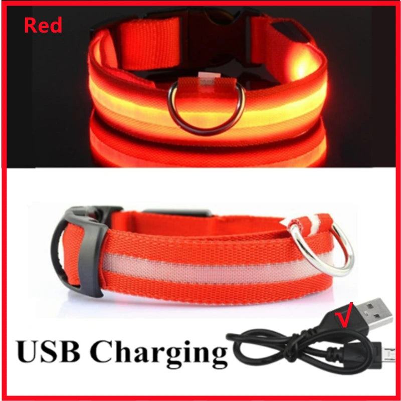 Pawfect Luminous Collar - USB Rechargeable