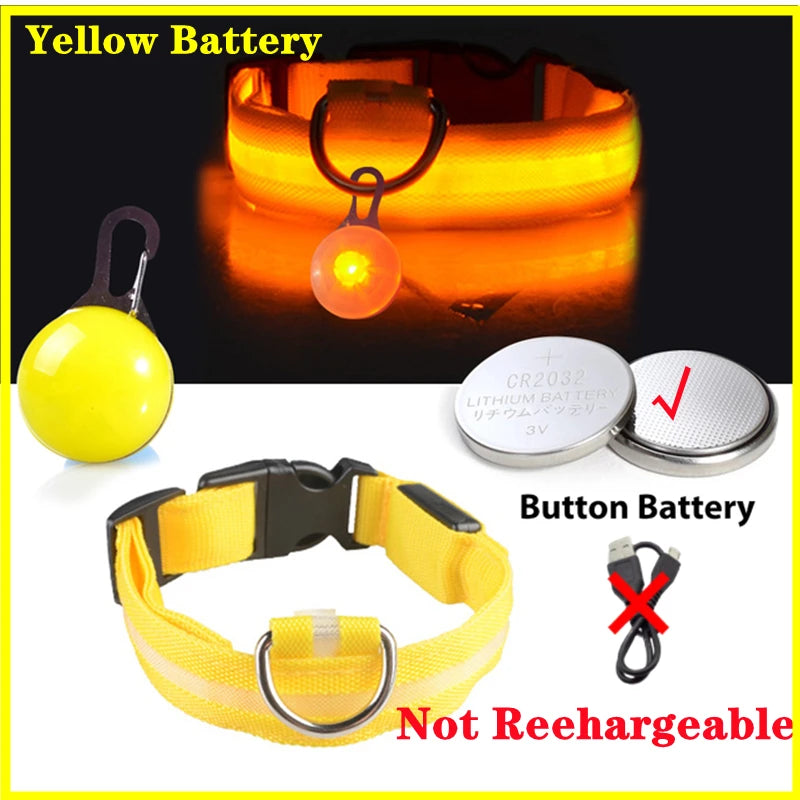 Pawfect Luminous Dog Collar & Detachable Pendant Set