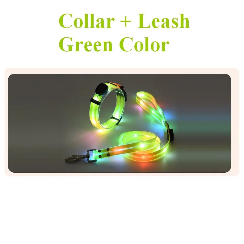 Pawfect Glow-In-The-Dark Leash