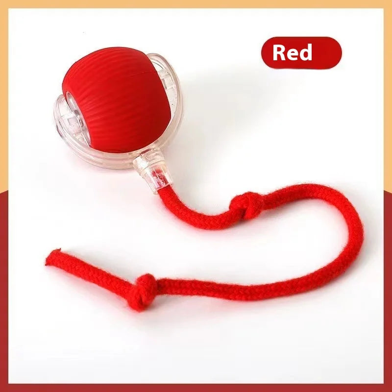 Pawfect Interactive Cat Ball with Rope