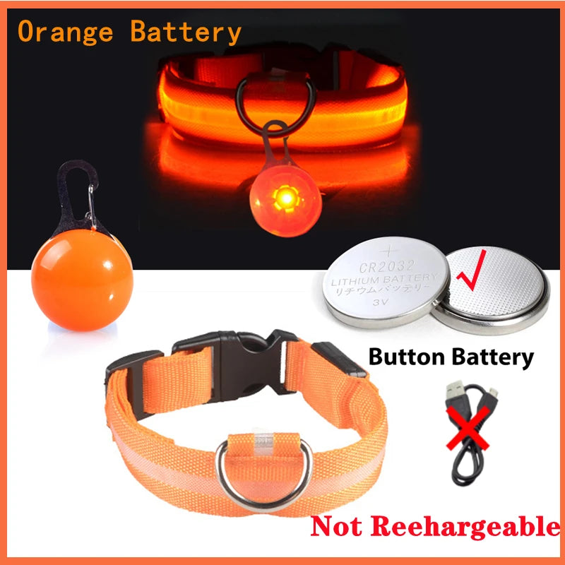 Pawfect Luminous Dog Collar & Detachable Pendant Set