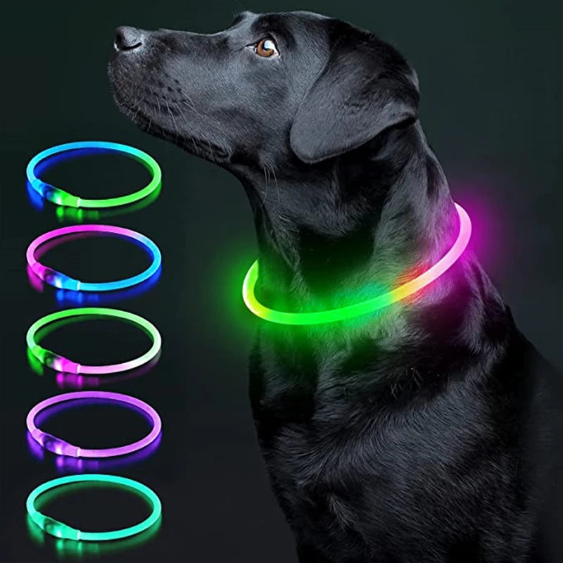 Pawfect 360 Degree LED Luminous Collar - USB Rechargeable