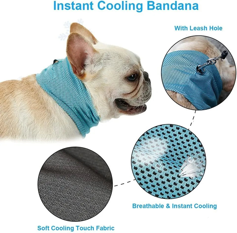 Pawfect Cooling Bandana for Dogs