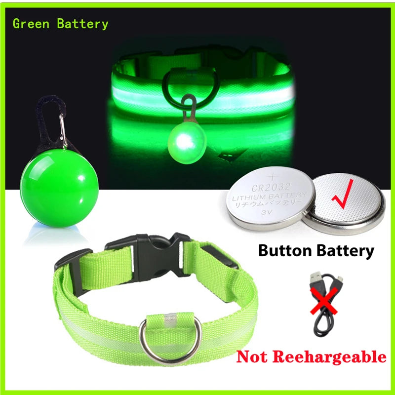 Pawfect Luminous Dog Collar & Detachable Pendant Set