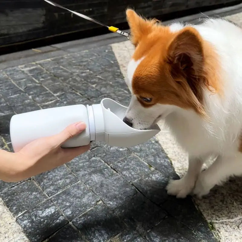Pawfect Portable & Foldable Water Bottle