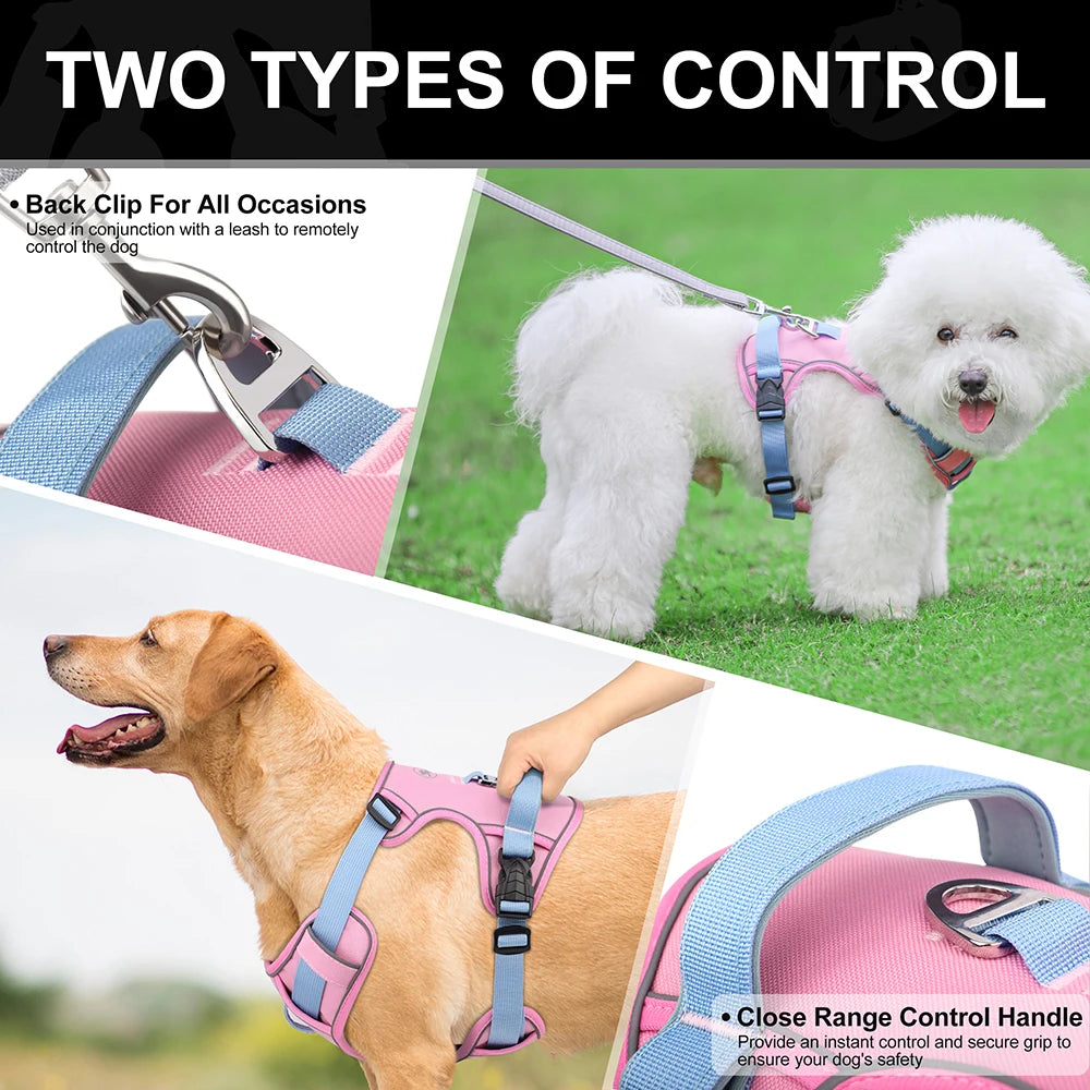 Mesh Breathable Anti-Pull Harness - Designed for Small and Medium Dogs