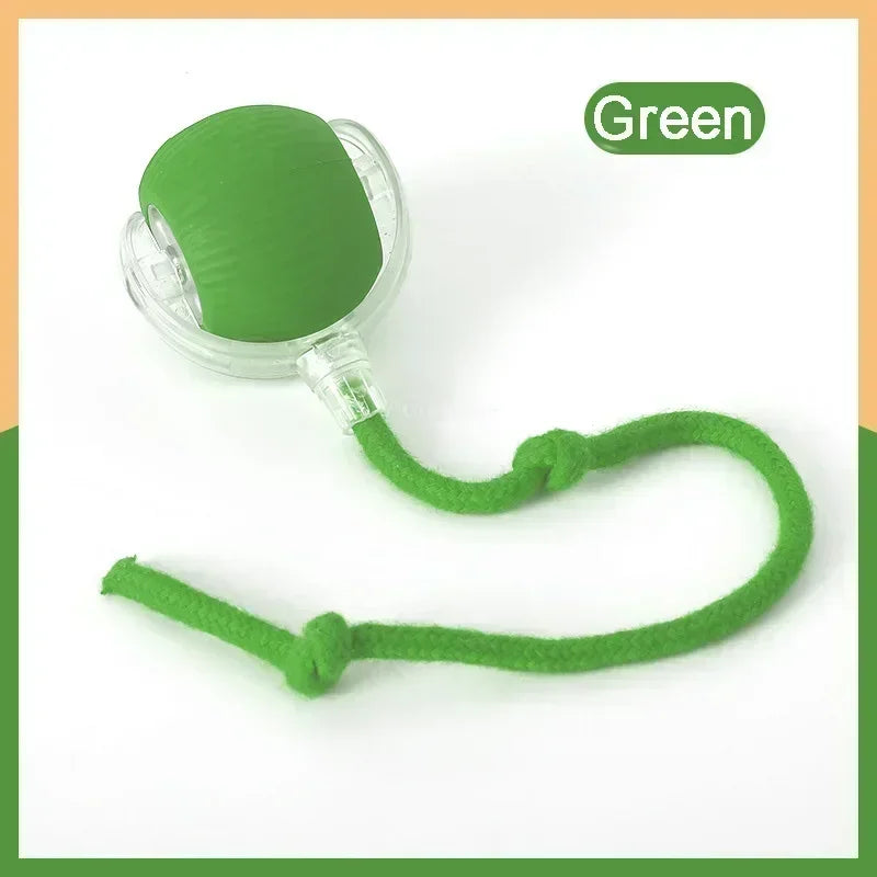 Pawfect Interactive Cat Ball with Rope