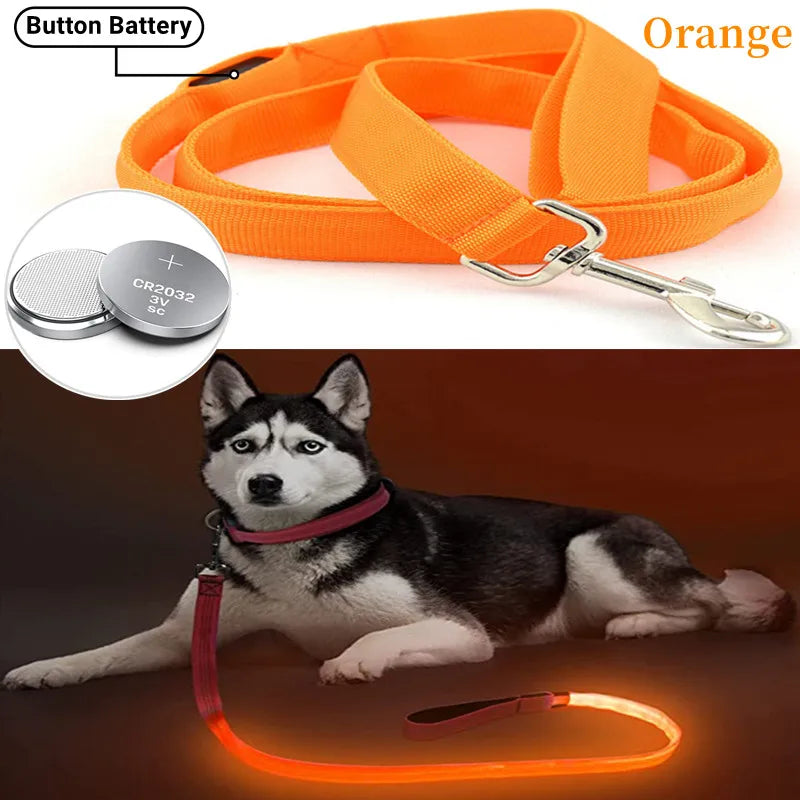 Pawfect LumiLeash - USB Rechargeable LED Dog Leash