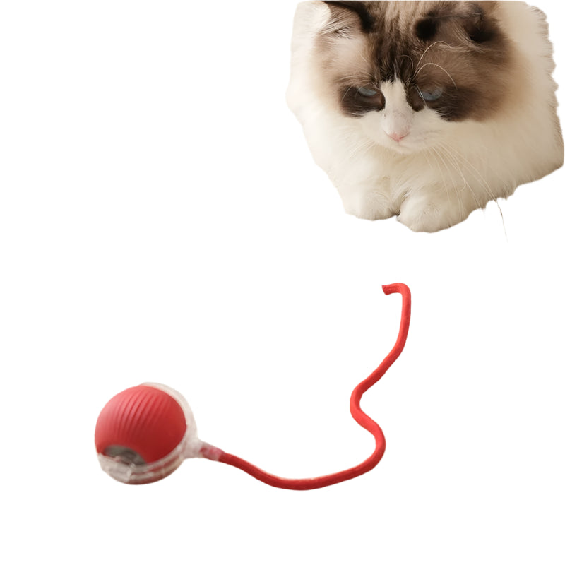 Pawfect Interactive Cat Ball with Rope