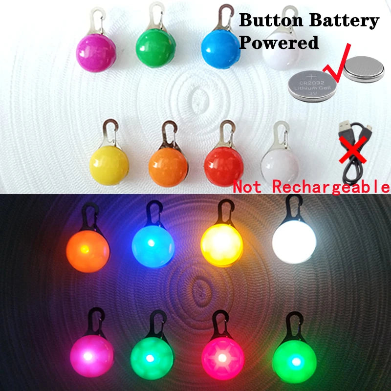 Pawfect Luminous Dog Collar & Detachable Pendant Set