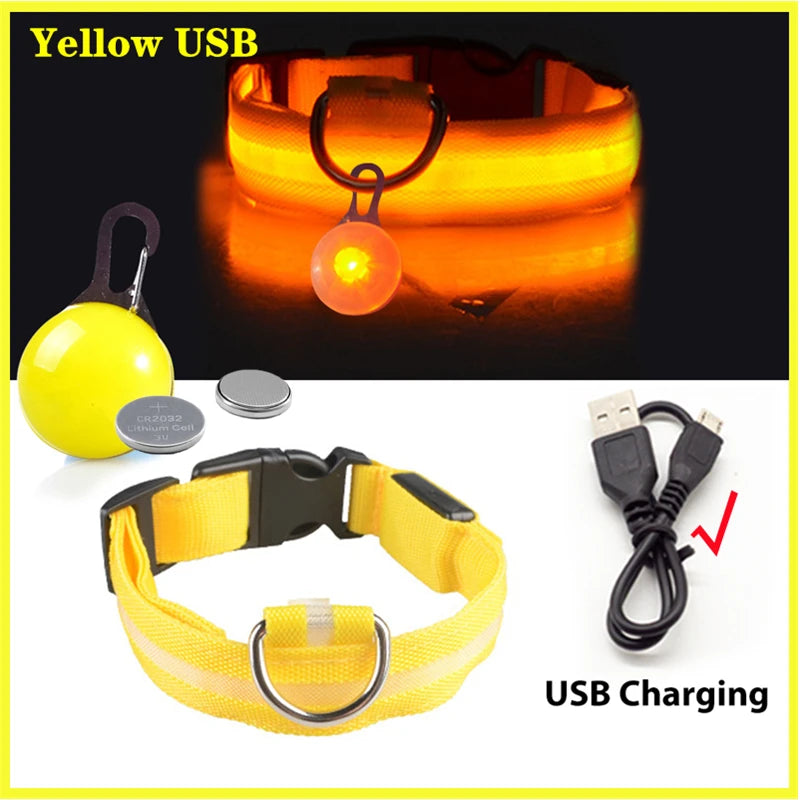 Pawfect Luminous Dog Collar & Detachable Pendant Set
