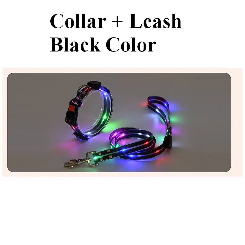 Pawfect Glow-In-The-Dark Leash