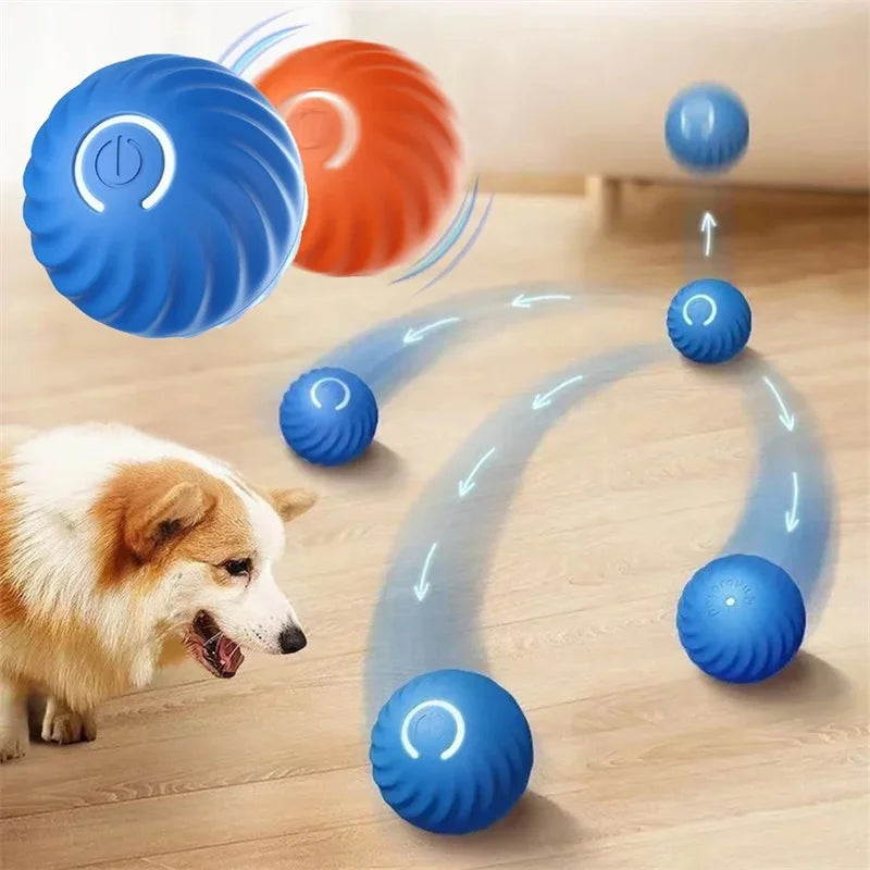 Pawfect Automatic Rolling Ball