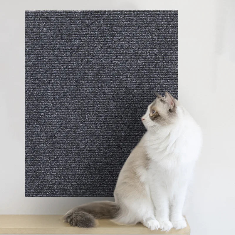 Pawfect Adhesive ScratchGuard