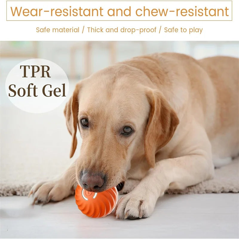 Pawfect Automatic Rolling Ball