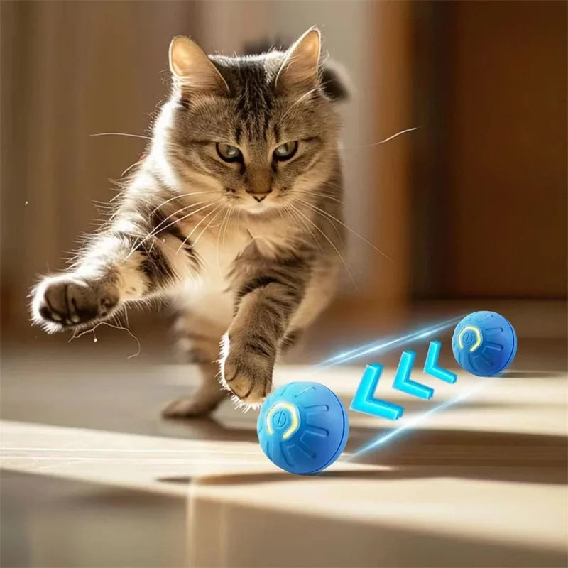 Pawfect Automatic Rolling Ball