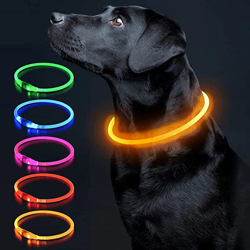 Pawfect 360 Degree LED Luminous Collar - USB Rechargeable