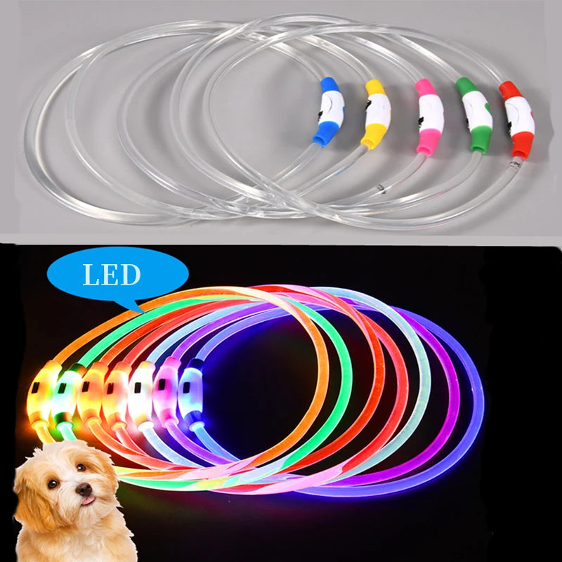 Pawfect 360 Degree LED Luminous Collar - USB Rechargeable