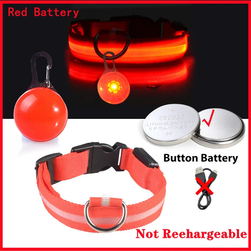 Pawfect Luminous Dog Collar & Detachable Pendant Set