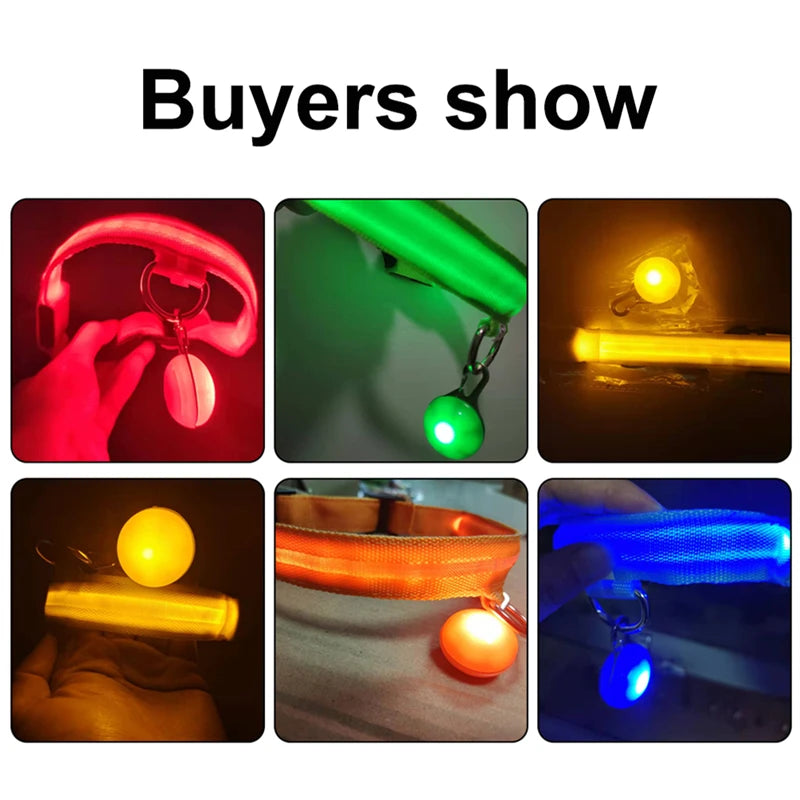 Pawfect Luminous Dog Collar & Detachable Pendant Set
