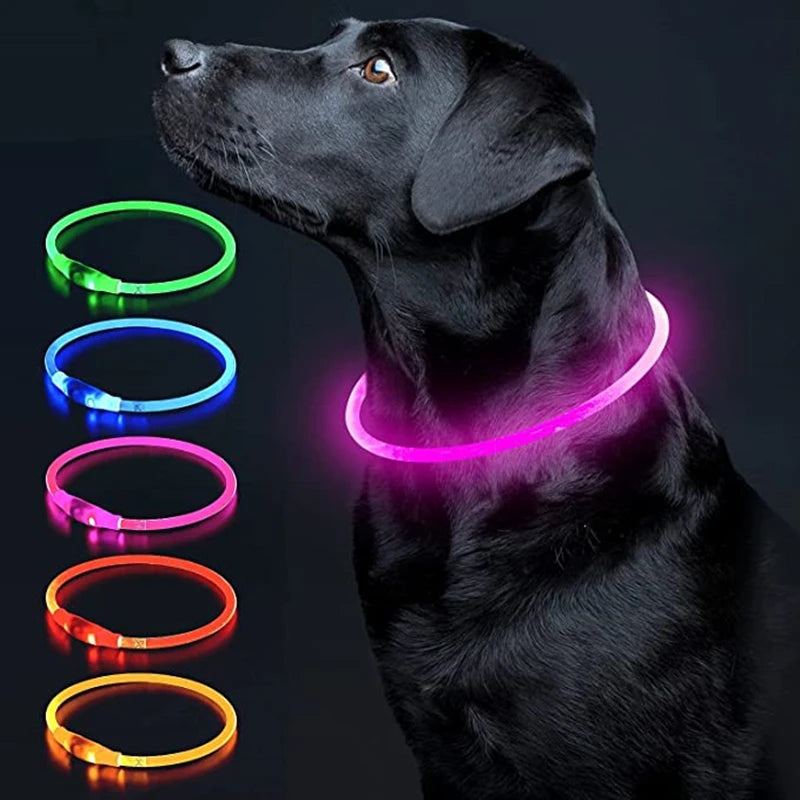 Pawfect 360 Degree LED Luminous Collar - USB Rechargeable