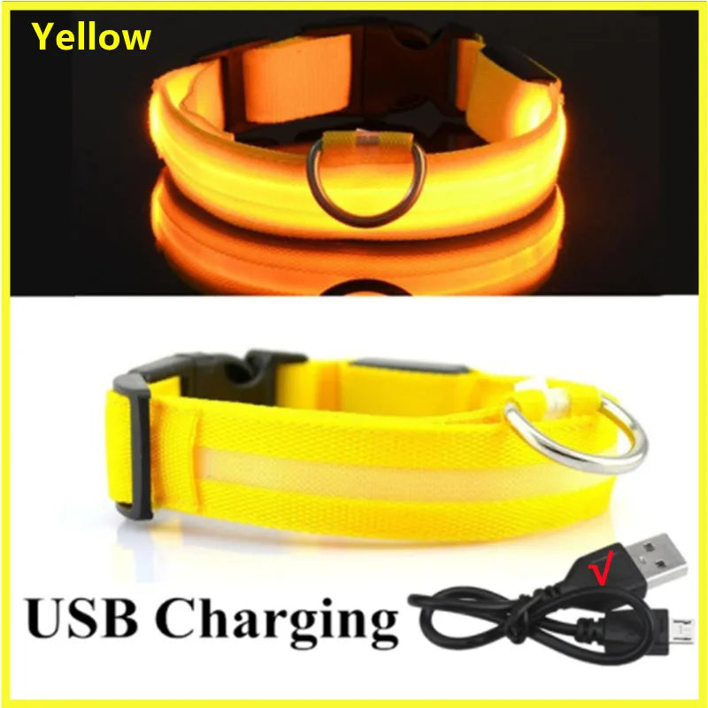 Pawfect Luminous Collar - USB Rechargeable