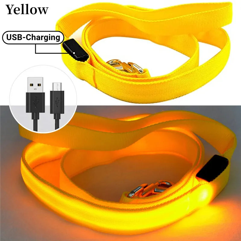 Pawfect LumiLeash - USB Rechargeable LED Dog Leash