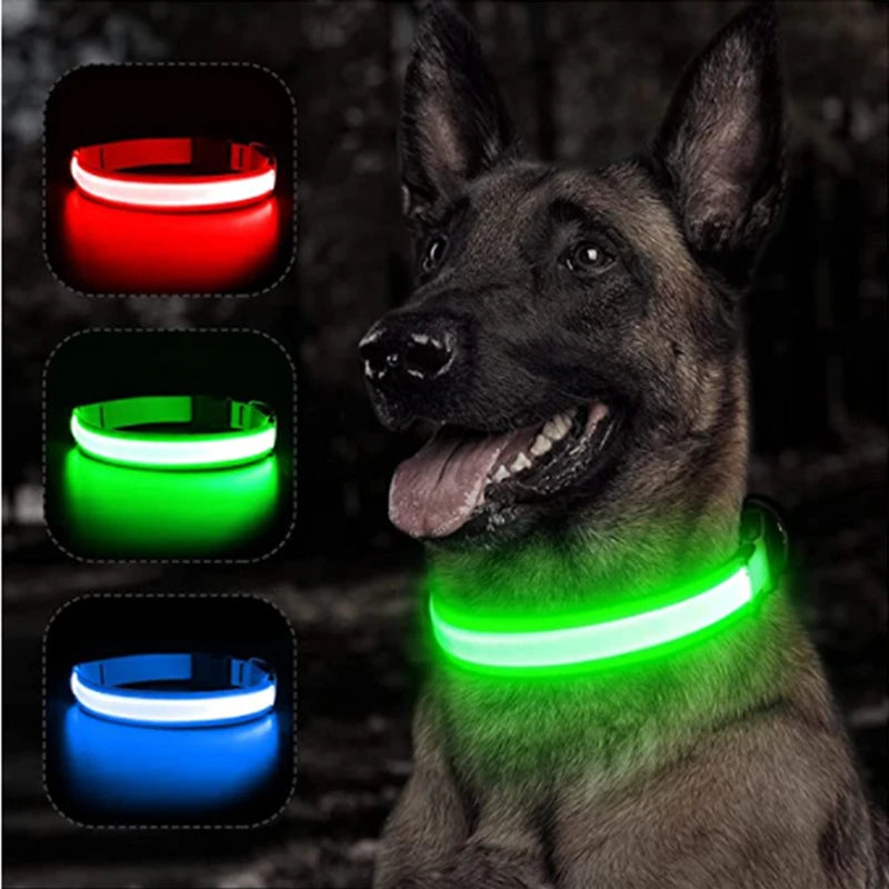 Pawfect Luminous Dog Collar & Detachable Pendant Set