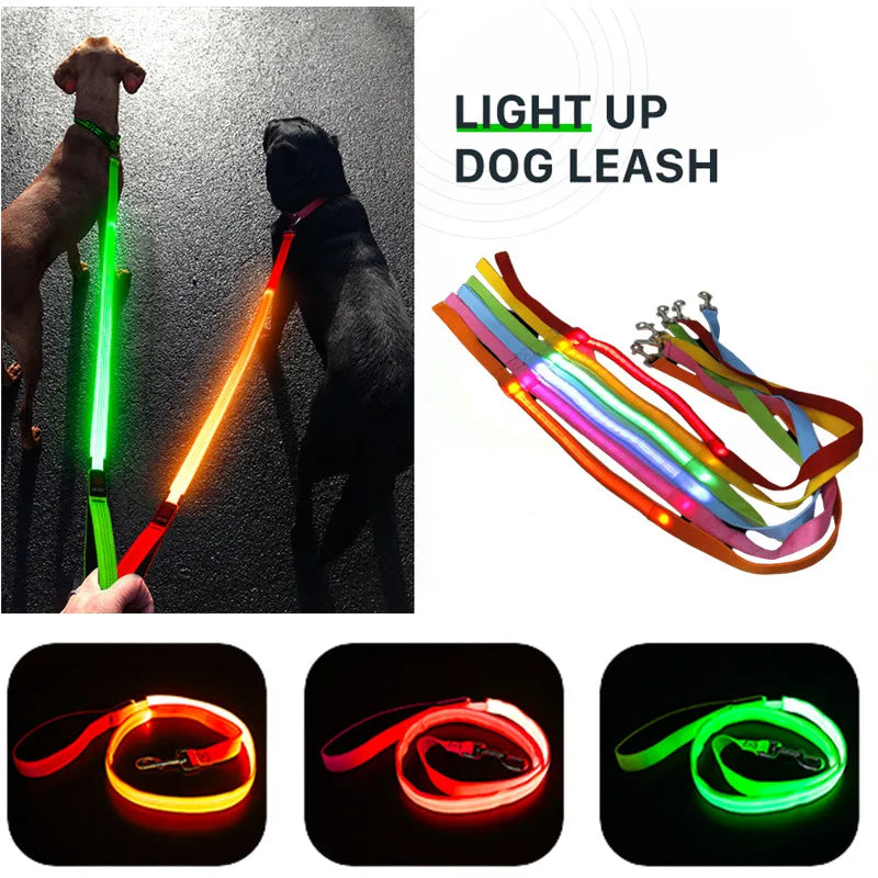 Pawfect LumiLeash - USB Rechargeable LED Dog Leash