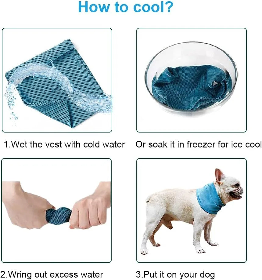 Pawfect Cooling Bandana for Dogs
