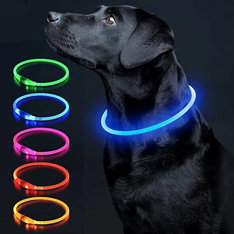Pawfect 360 Degree LED Luminous Collar - USB Rechargeable