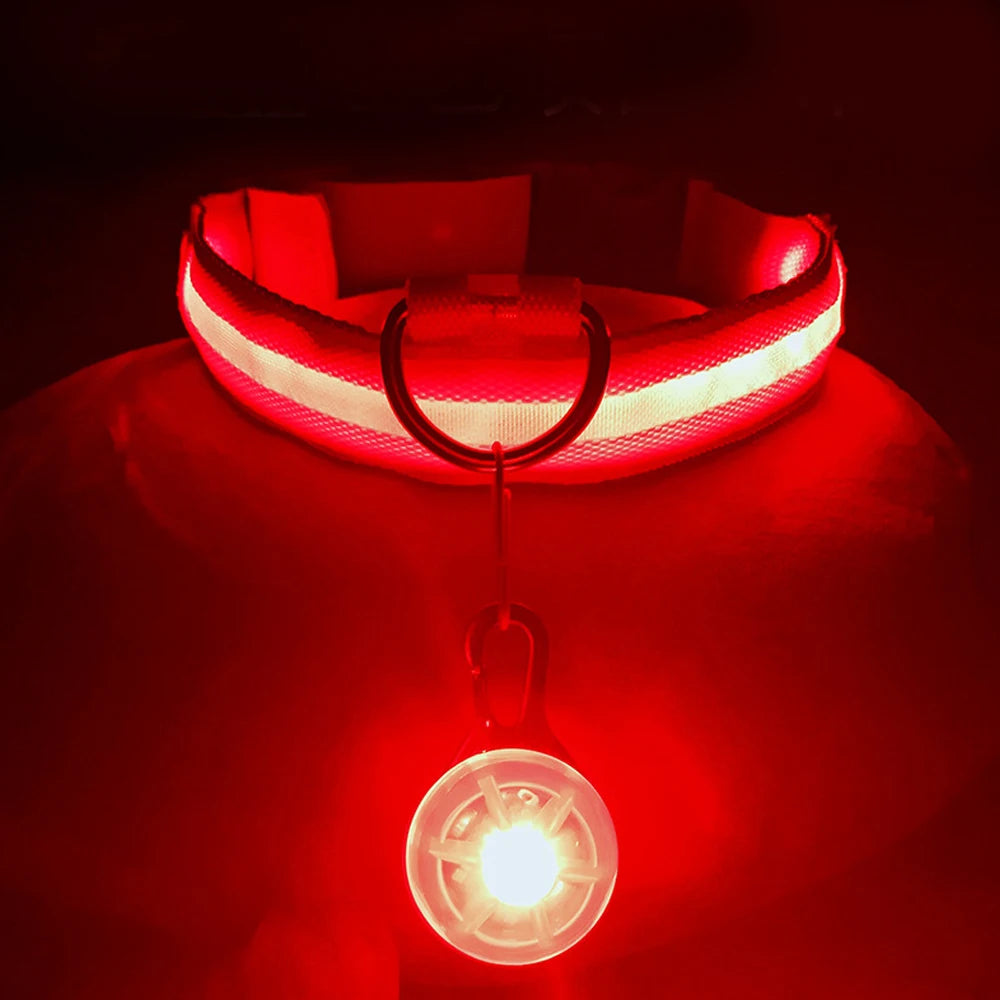Pawfect Luminous Dog Collar & Detachable Pendant Set