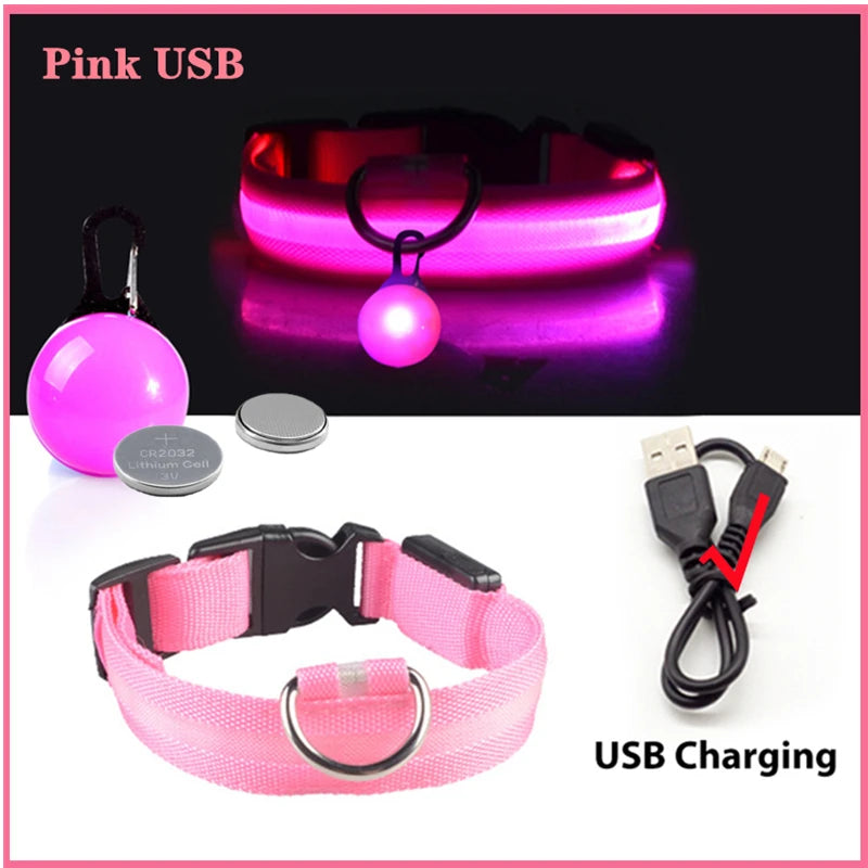 Pawfect Luminous Dog Collar & Detachable Pendant Set