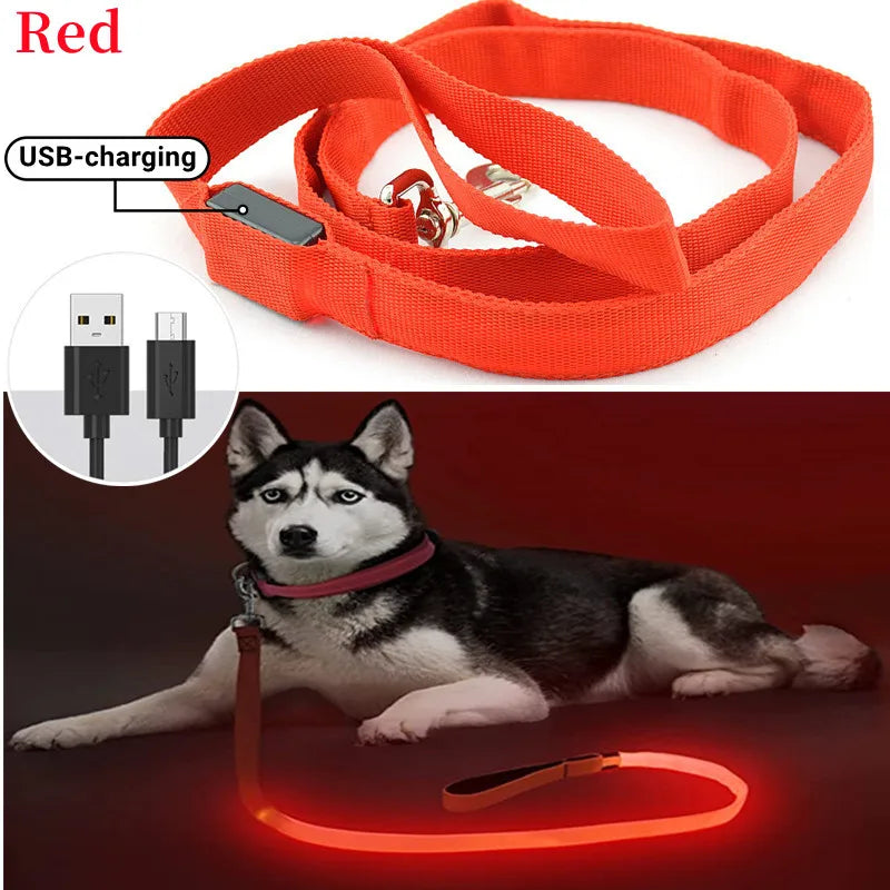 Pawfect LumiLeash - USB Rechargeable LED Dog Leash