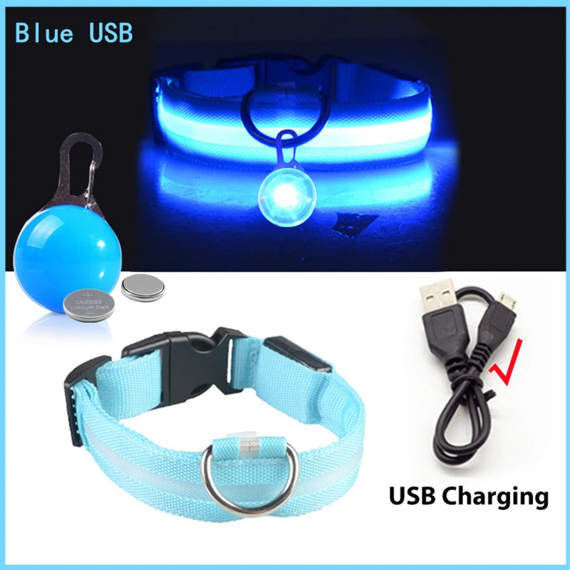 Pawfect Luminous Dog Collar & Detachable Pendant Set