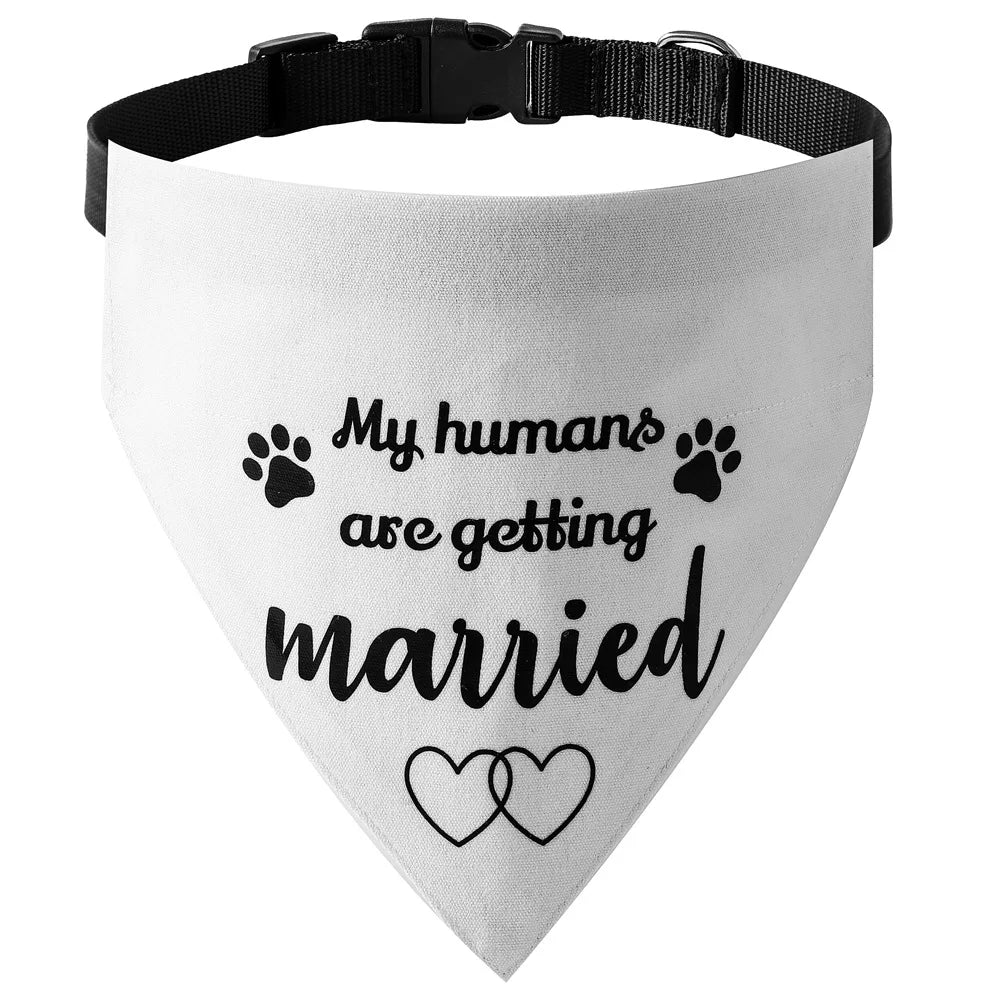 Pawfect Wedding Themed Dog Bandana